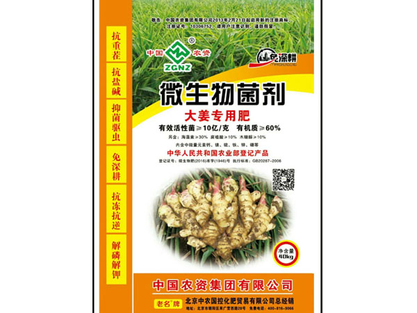 微生物菌剂大姜专用肥