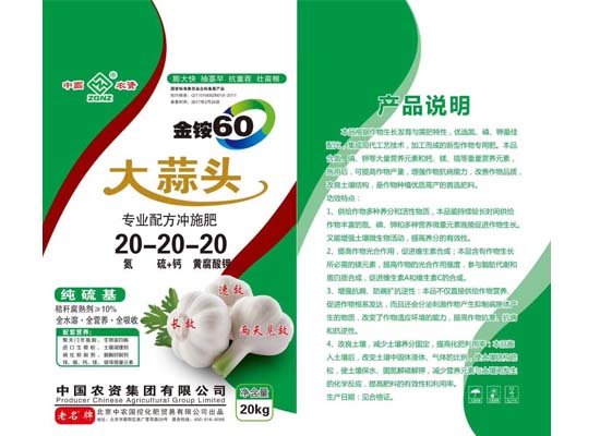 大蒜头金铵60